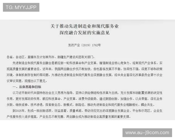 临漳凝聚力量助推丛台足球全面振兴高质量发展路径深度探索新进展